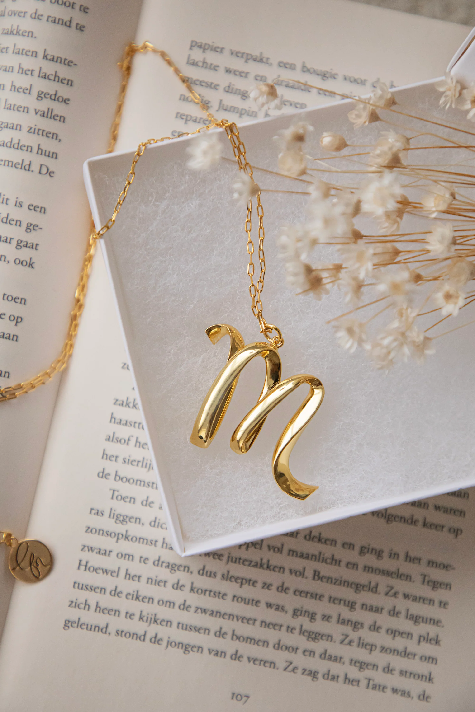 Alphabet B Gold - Ketting - Image 12